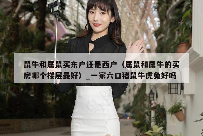 鼠牛和属鼠买东户还是西户(属鼠和属牛的买房哪个楼层最好)_一家六口猪鼠牛虎兔好吗